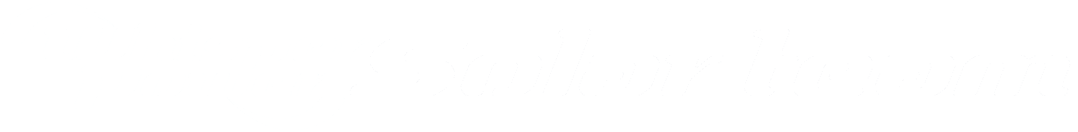 WhisperPower Solar Team